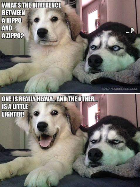 FB_IMG_1457083678708.jpg