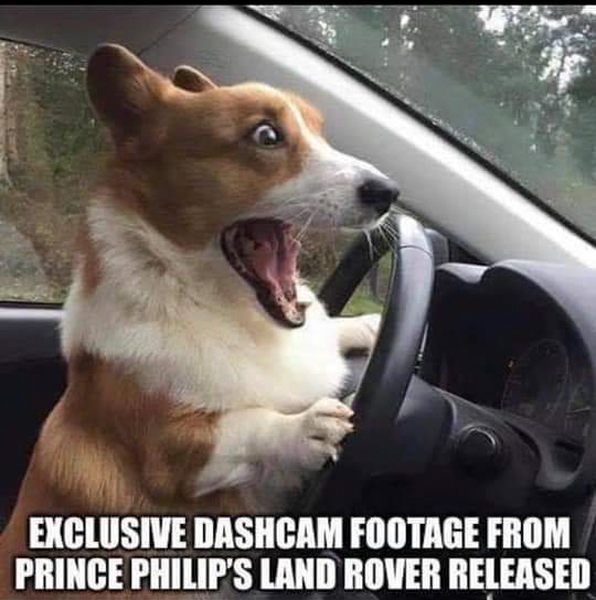 FB_IMG_1547811404106.jpg