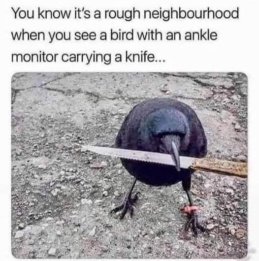 FB_IMG_1716239335224.jpg