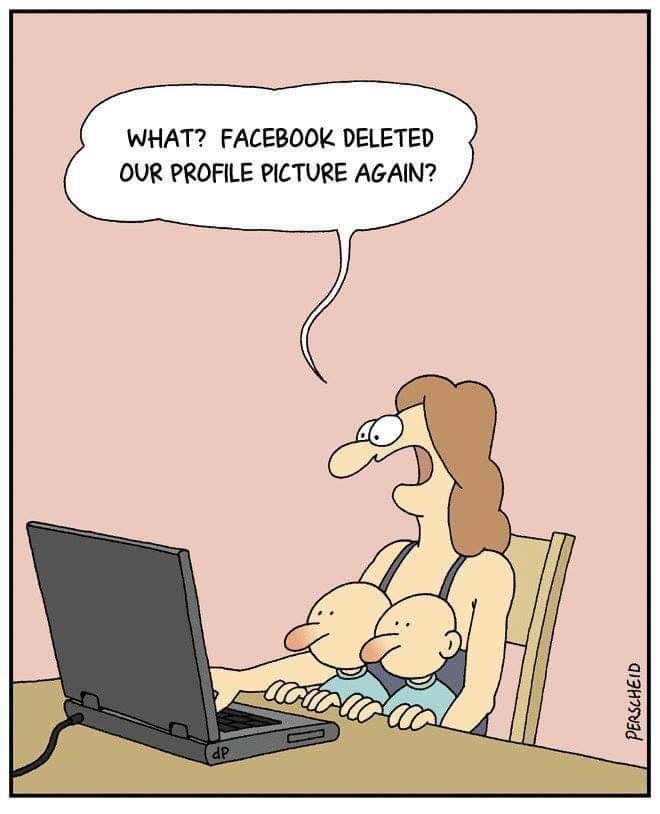 fbook.jpg