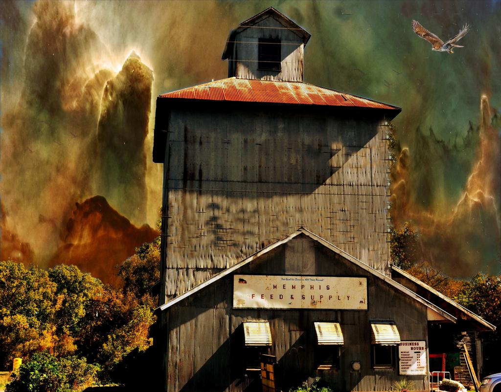 feed store_pe 2.jpg