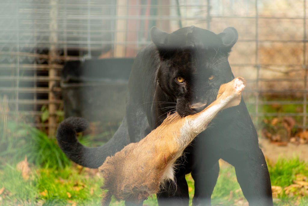 Feeding Time! 2.jpg