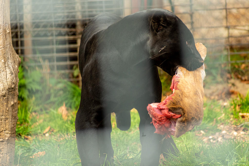Feeding Time! 3.jpg