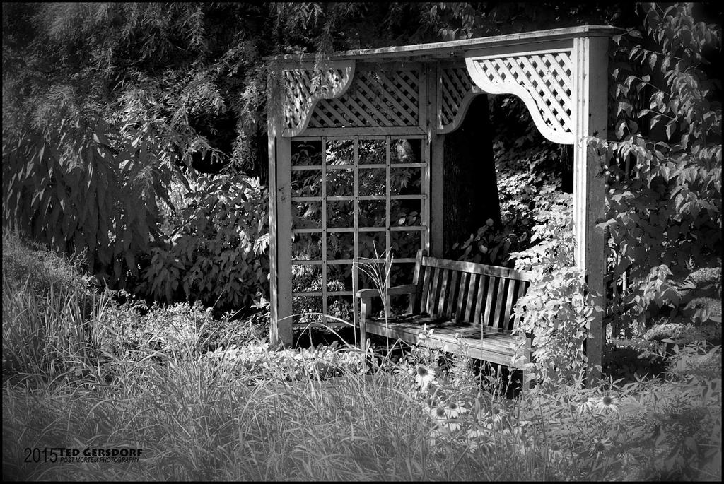 Fellows Riverside Gardens IR  8-2-15   15BW.jpg