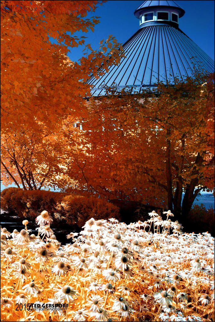 Fellows Riverside Gardens IR  8-2-15   2.jpg