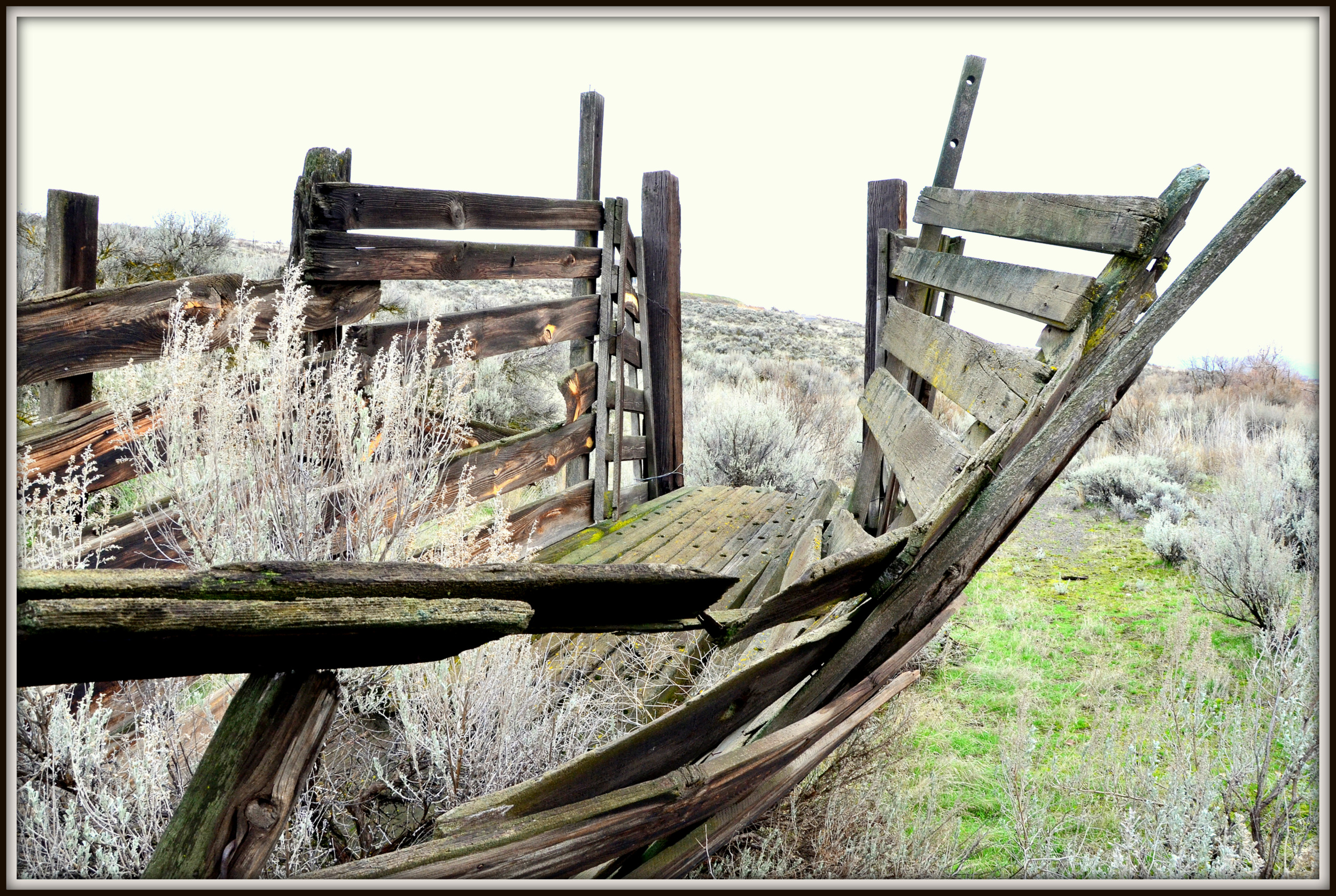 FENCE 064.JPG