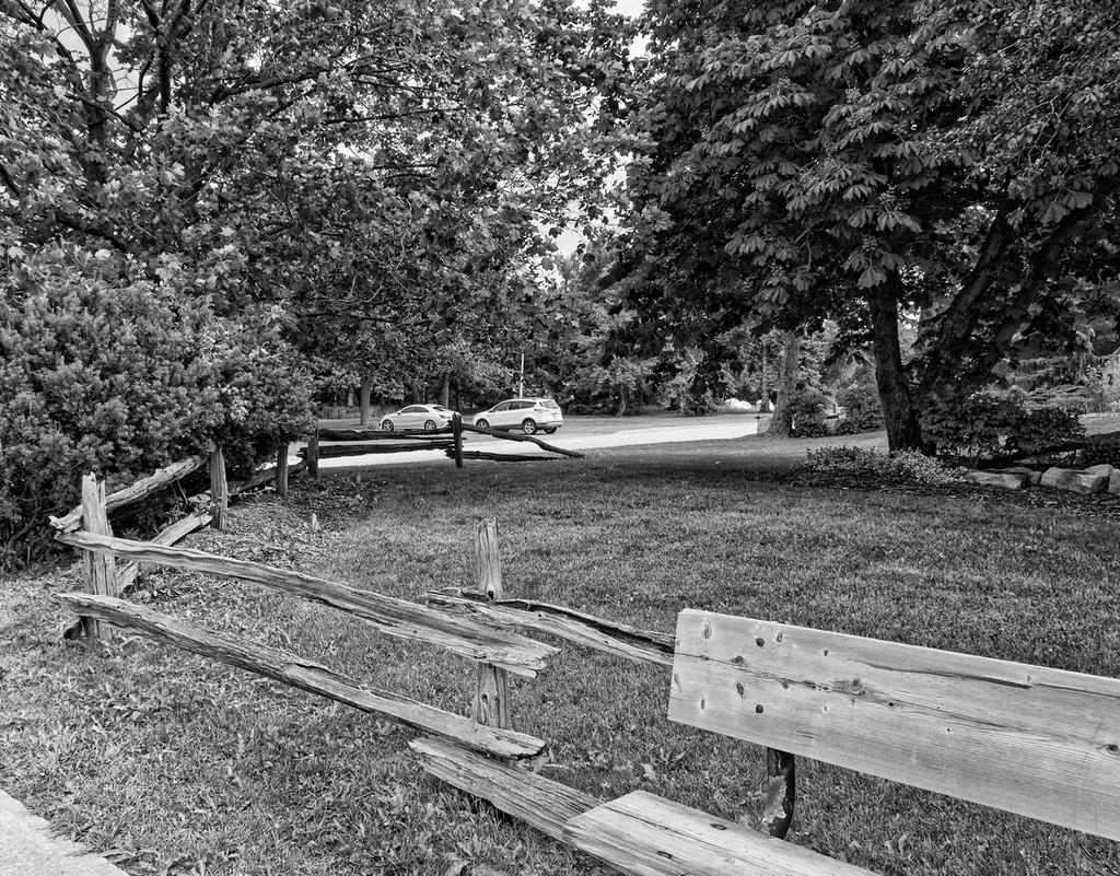 fence 3.jpg