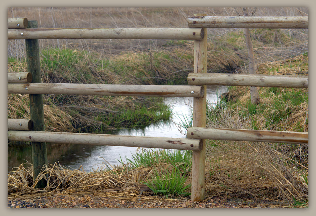 Fence and Creek at Preserve 3-22-2016.jpg