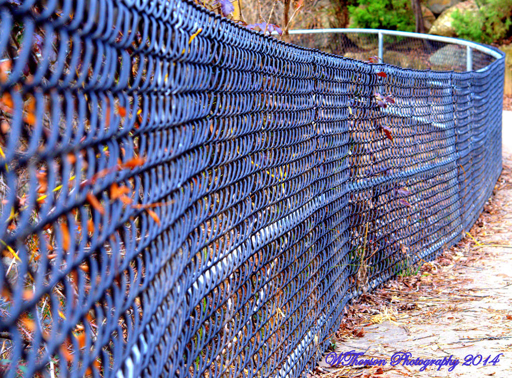 Fence at Layton Park.jpg