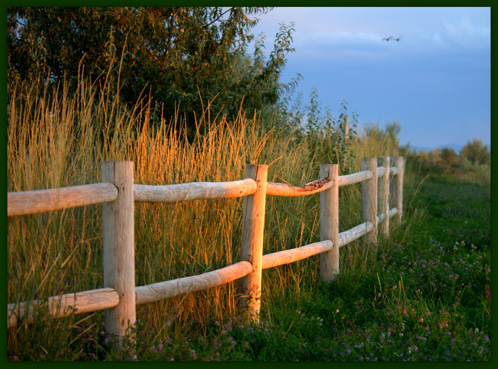 Fence at Sunset.jpg