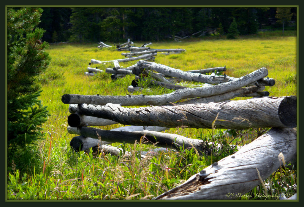 Fence in Spirit Lake.jpg
