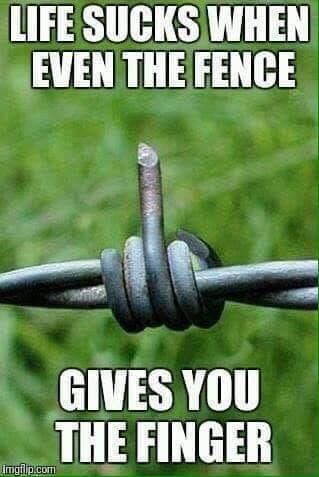 fence.jpg