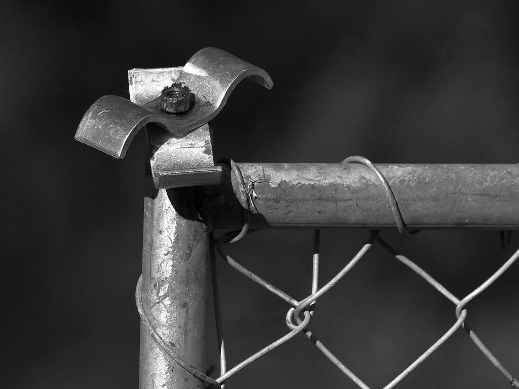 Fence.jpg