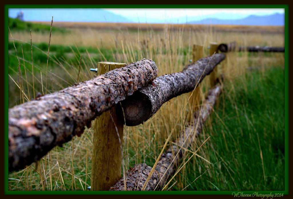 Fence.jpg