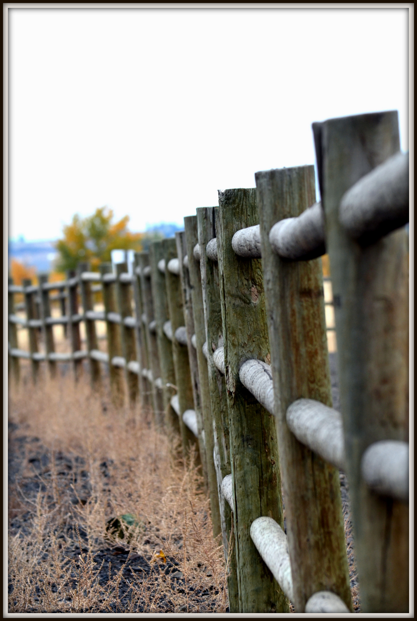 FENCE L 070.JPG