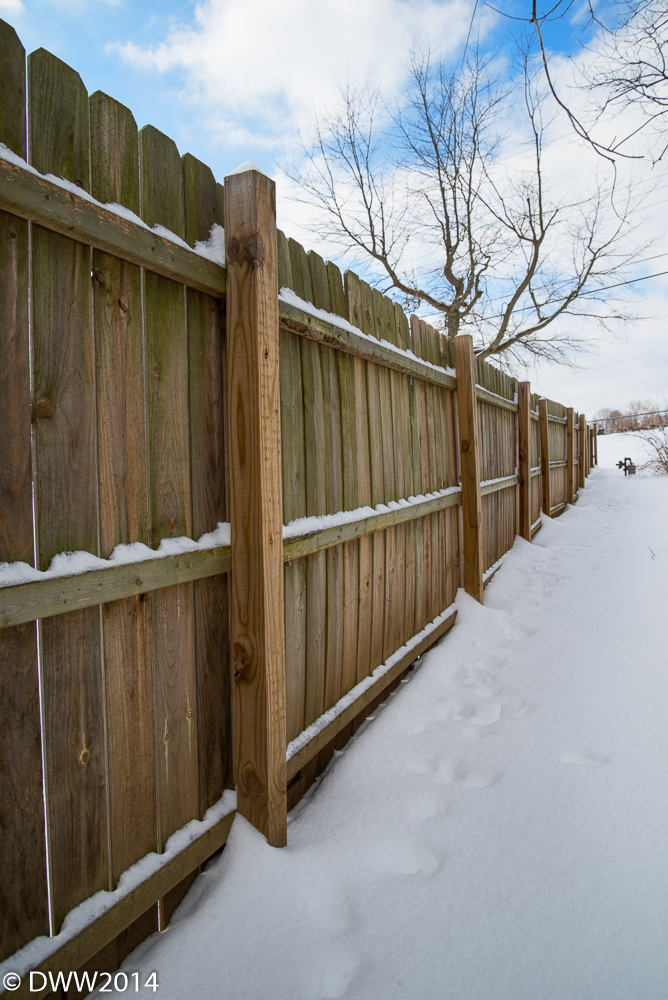 Fence Line.jpg