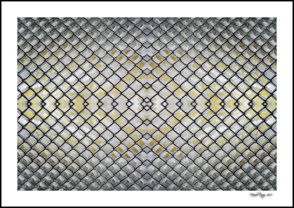 fenced-in web.jpg