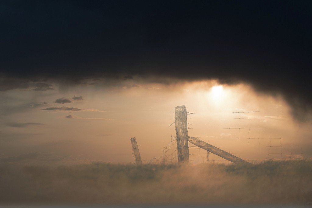 Fencefog.jpg