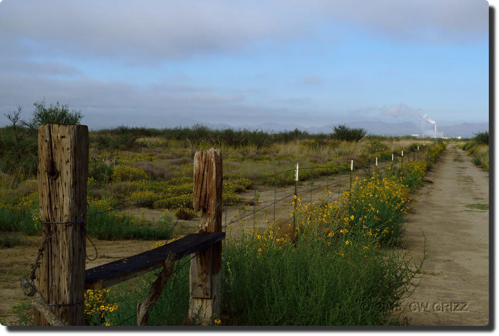 Fence Line leading to Power Plant