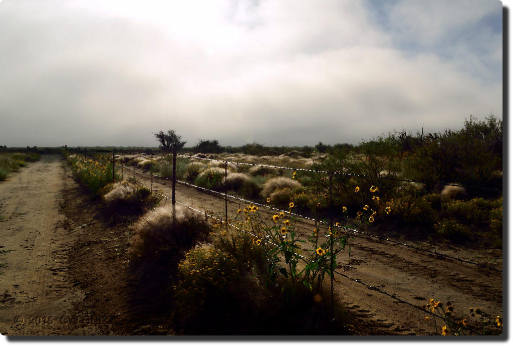 Fence Line in the storm
