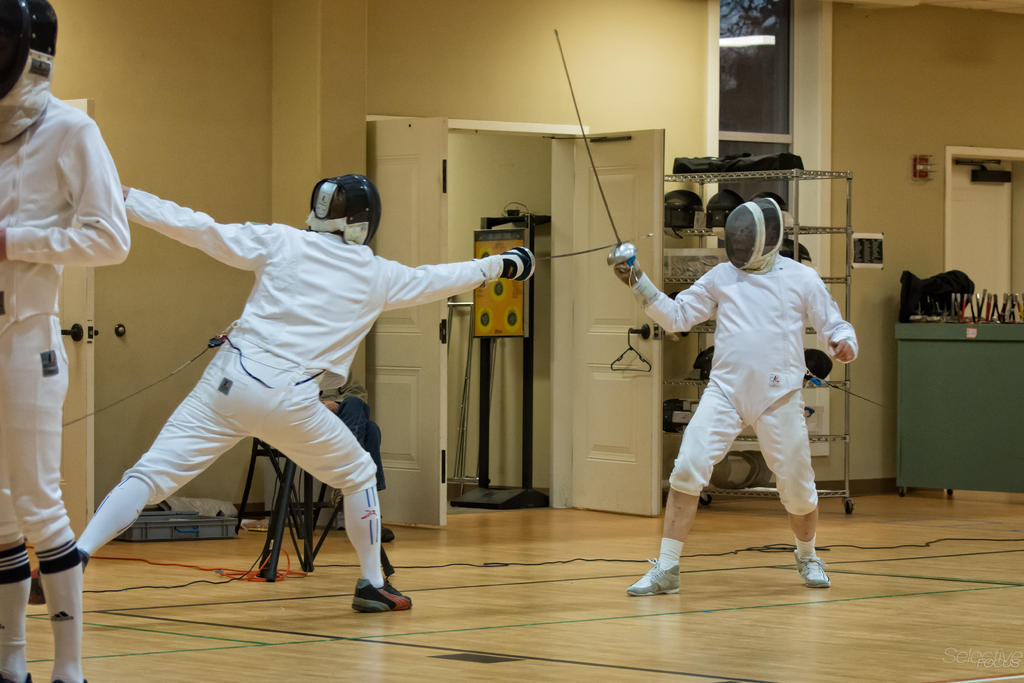 Fencing2.jpg