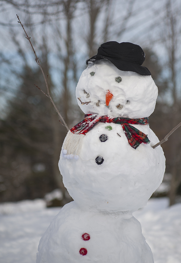 Fev3rd snowman.jpg