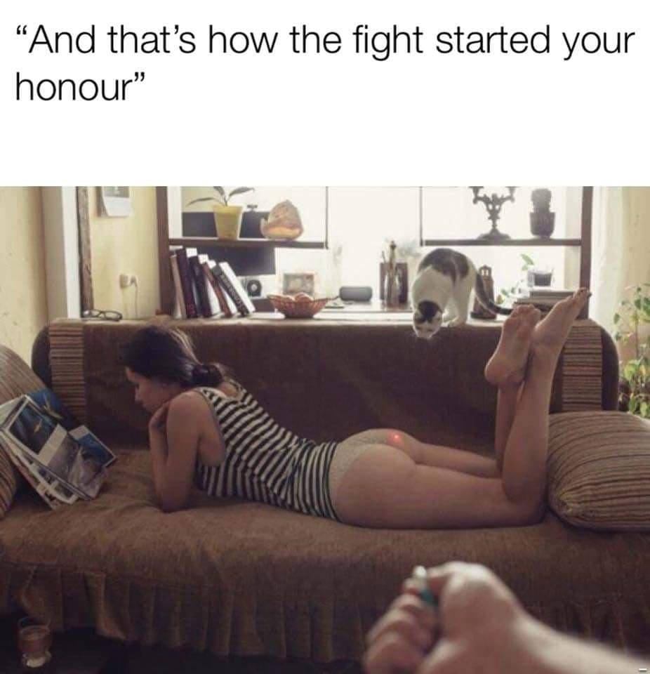 fight.jpg