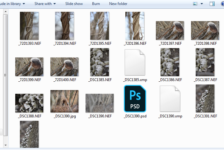 file order.png