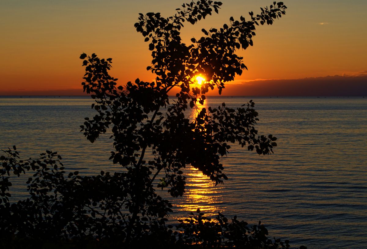 filer park2 1200.jpg