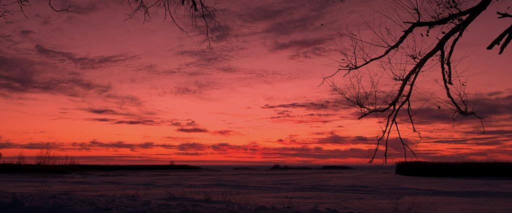 Fire and ice 1200.jpg
