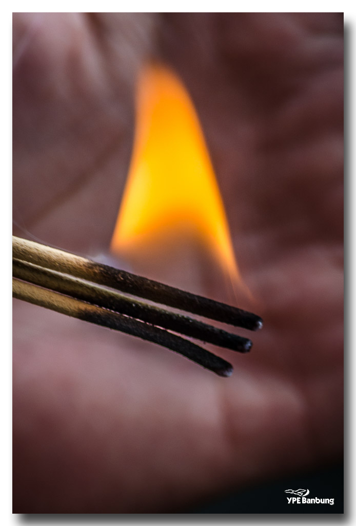 fire-palm.jpg