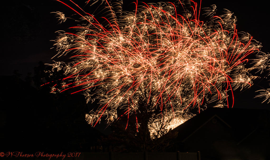 Fireworks #2 7-24-2017.jpg