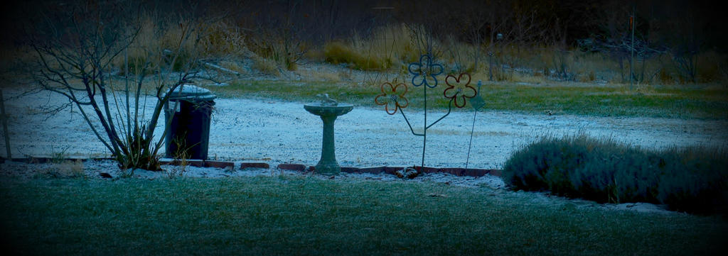 FIRST SNOW 053-002.jpg