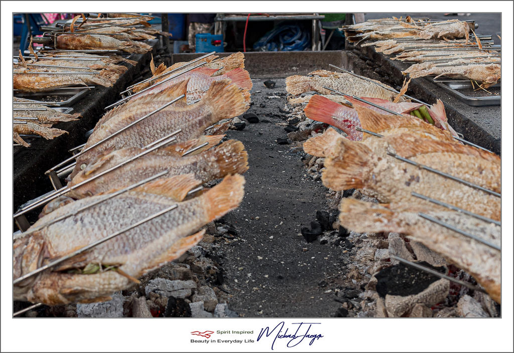 fish-2.jpg