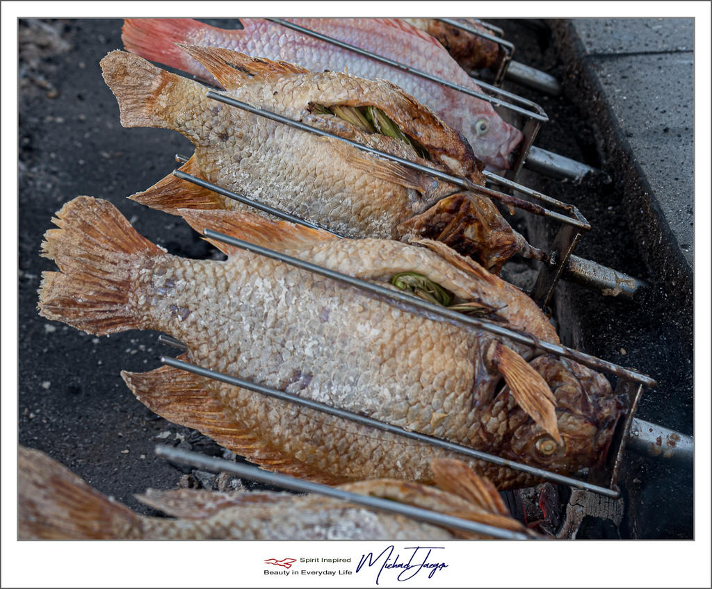 fish-3.jpg