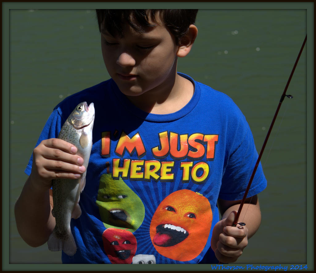 Fish Caught at Nephi Lake 2.jpg