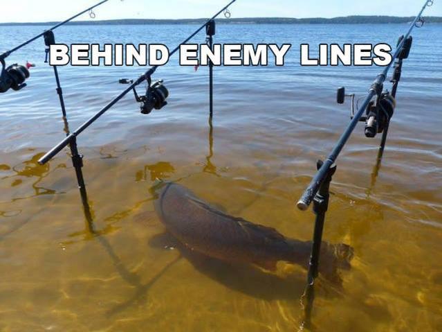 fish.jpg