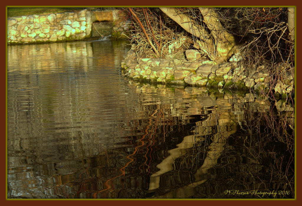Fish Pond North Ogden 3-5-2016.jpg