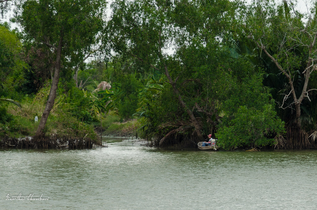 fisherman2-2.jpg