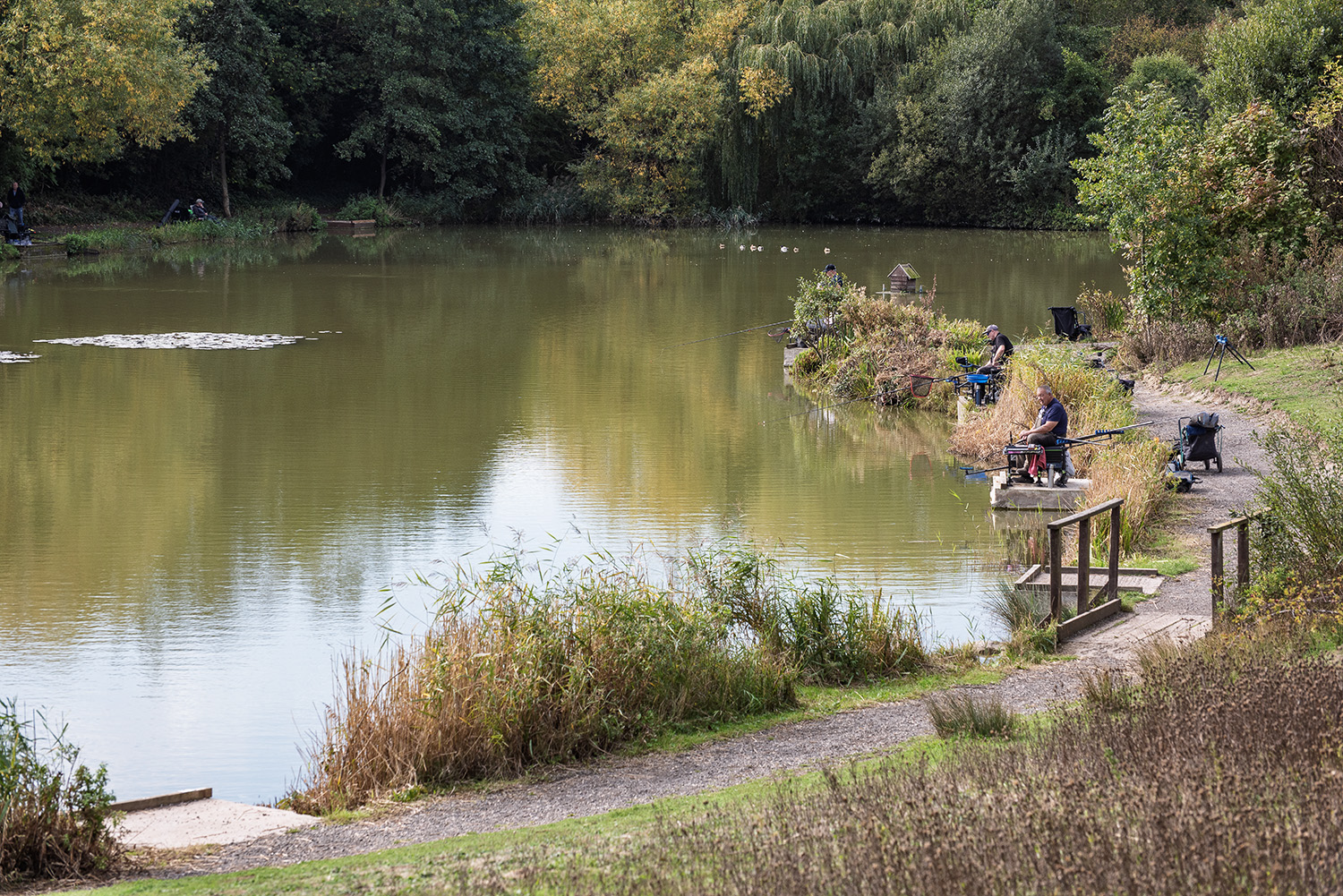 Fishing Match-1.jpg
