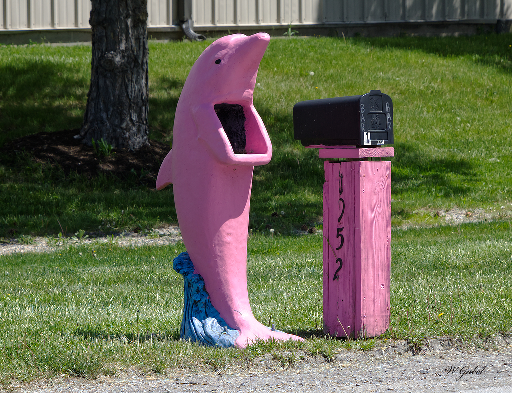 fishy-mailbox_sm-jpg.391929