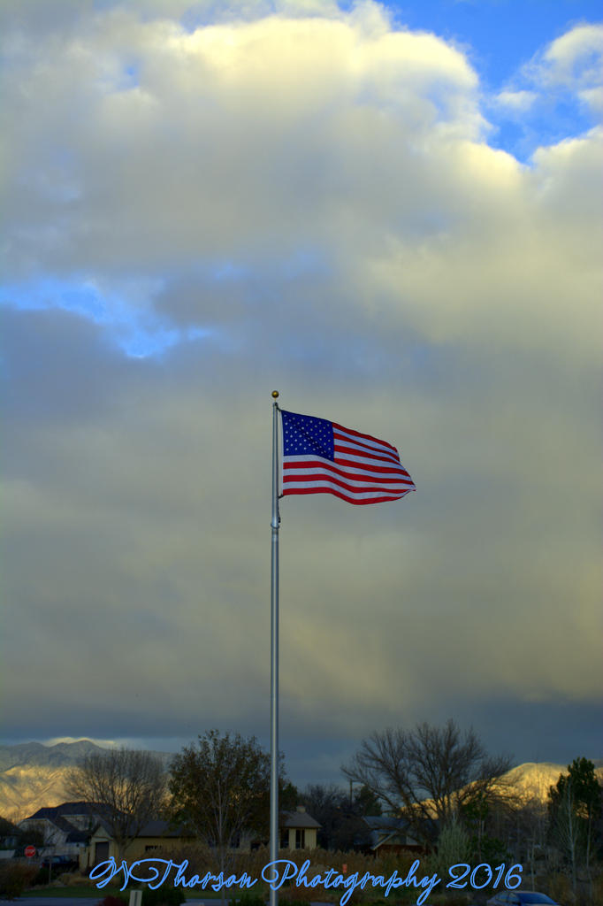 Flag 11-17-2016.jpg