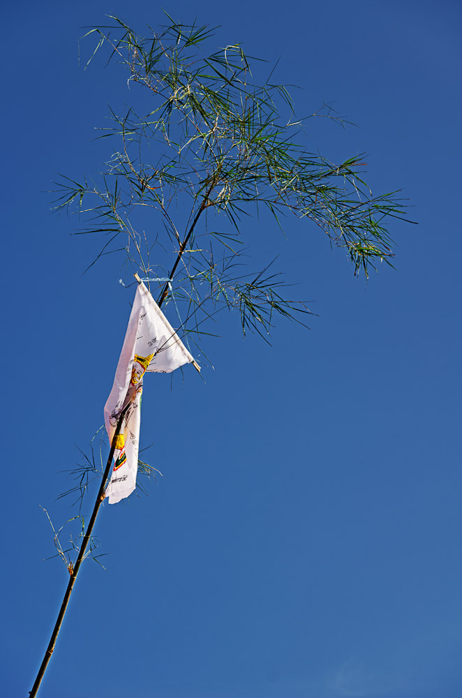 flagpole-1.jpg