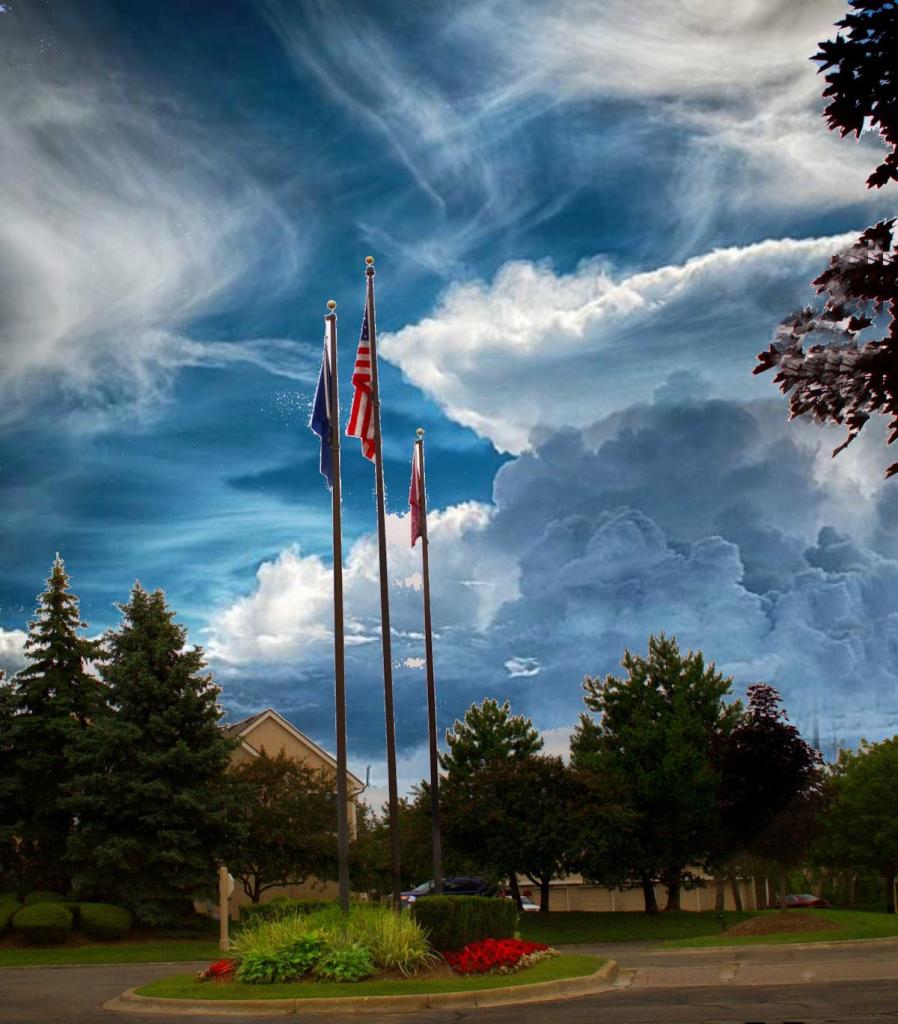 flags copy.jpg