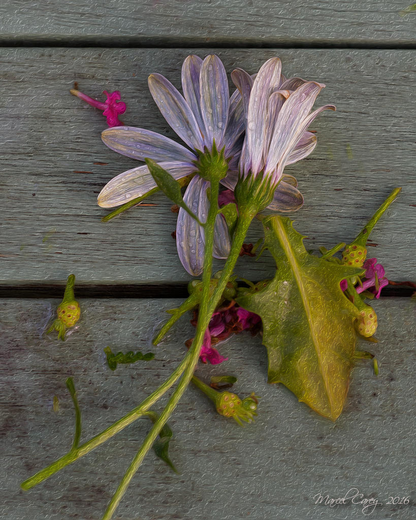 fleur morte.jpg