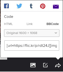 Flickr EXIF.jpg