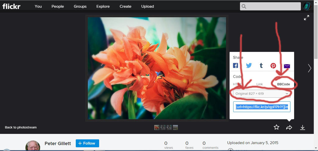 flickr.jpg