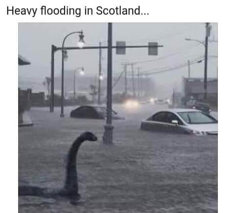 flood.jpg