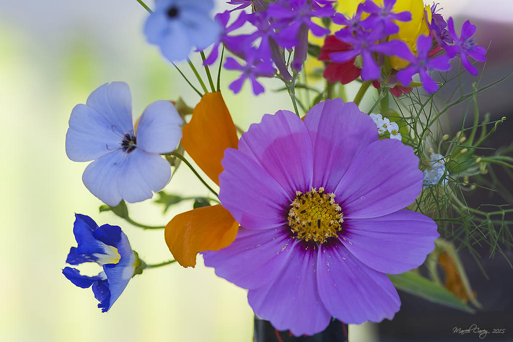 flower arrangement.jpg