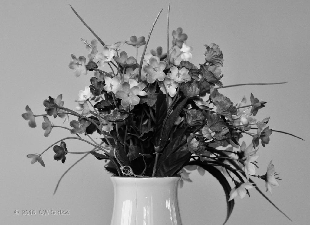 flower-bw-cr.jpg